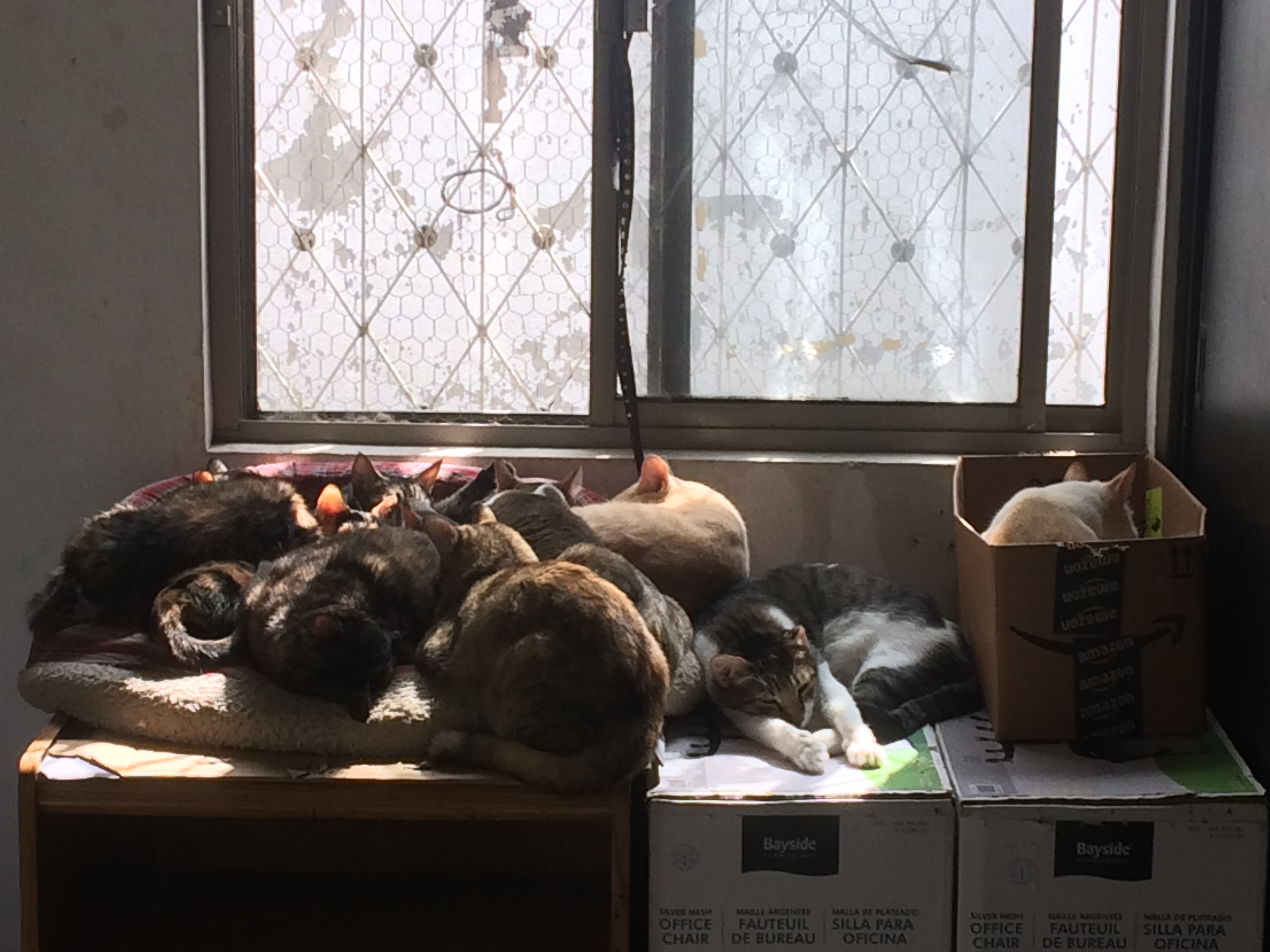 Photo 56210076704__1821D83E-C07E-4581-8F12-49EDB7E048E5.JPG