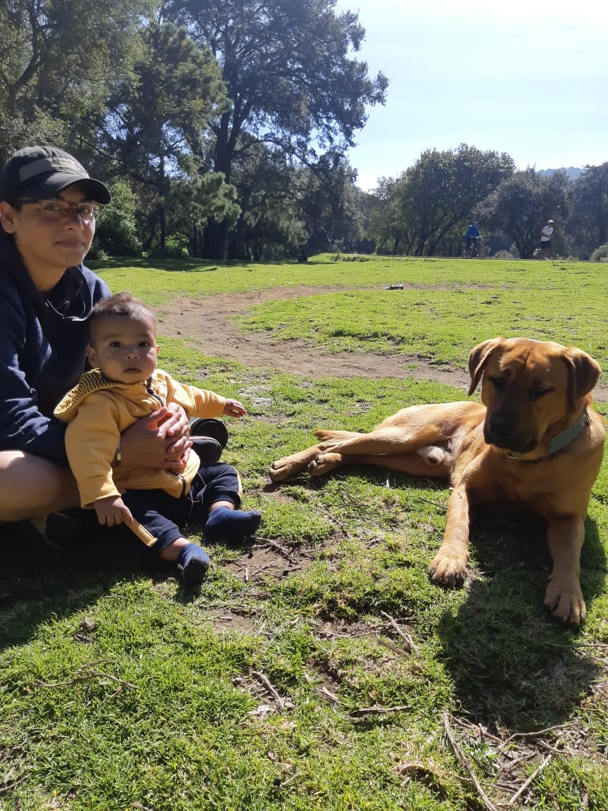 Photo dfdc0f60-4409-430f-9634-69bfbfb8a44c.jpg